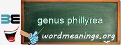 WordMeaning blackboard for genus phillyrea